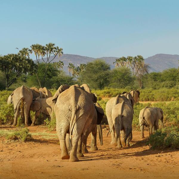 Wildlife & Nature Adventure